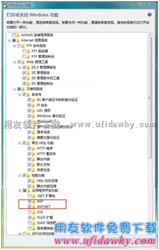 勾選ASP和ASP.NET，CGI等圖示