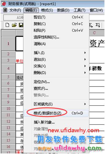 用友T3財(cái)務(wù)報(bào)表不能切換數(shù)據(jù)格式狀態(tài)？ 用友T3 第2張