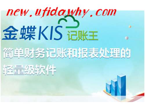 金蝶KIS記賬王V10.0軟件都有些什么快捷鍵？