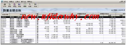 數(shù)量金額總賬窗口
